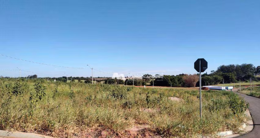Terreno à venda, 262 m² por R$ 350.000,00 - Eplenum - São José do Rio Preto/SP