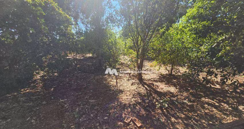Chácara com 2 dormitórios à venda, 1000 m² por R$ 200.000 - Centro - Ipiguá/SP
