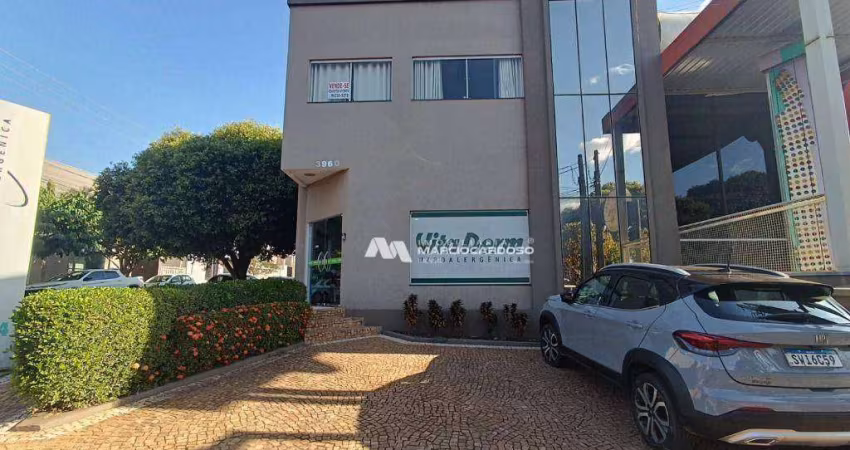 Prédio à venda, 346 m² por R$ 2.500.000,00 - Vila Santa Cruz - São José do Rio Preto/SP
