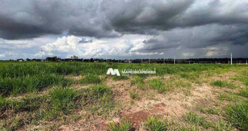 Terreno à venda, 410 m² por R$ 550.000,00 - Botanic Residence - São José do Rio Preto/SP