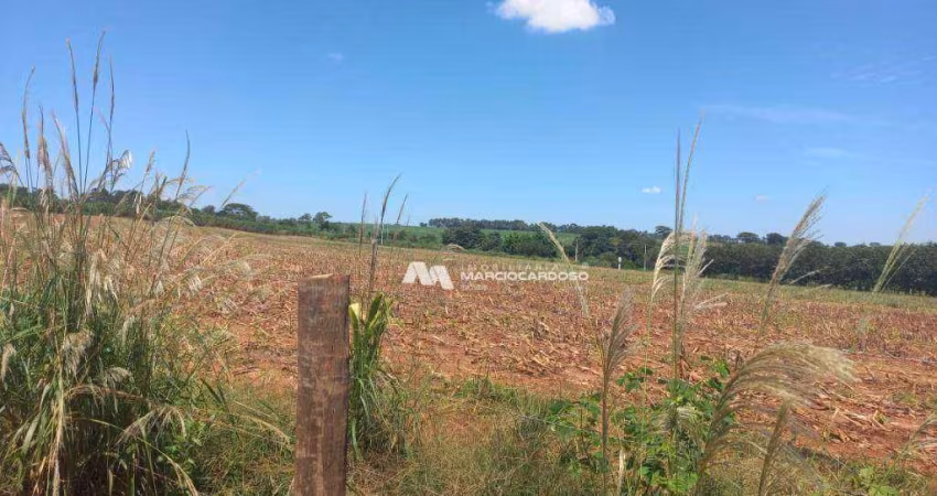 Área à venda, 96800 m² por R$ 1.800.000,00 - Condomínio Renascer - São José do Rio Preto/SP