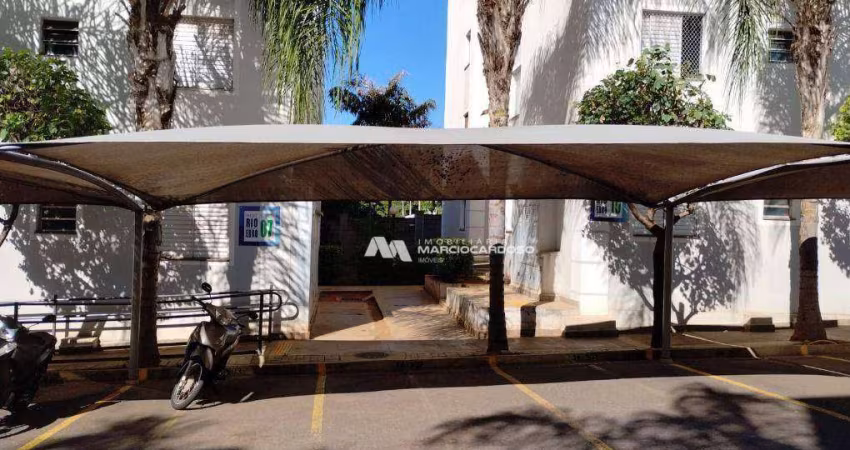 Apartamento com 2 dormitórios à venda, 50 m² por R$ 159.000,00 - Rios de Spagna - São José do Rio Preto/SP