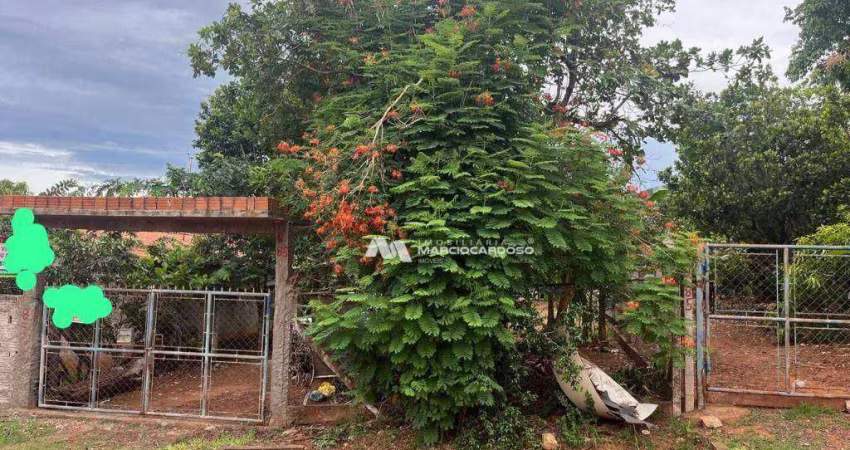 Chácara com 4 dormitórios à venda, 1000 m² por R$ 315.000,00 - Estância São Manoel (Zona Rural) - São José do Rio Preto/SP