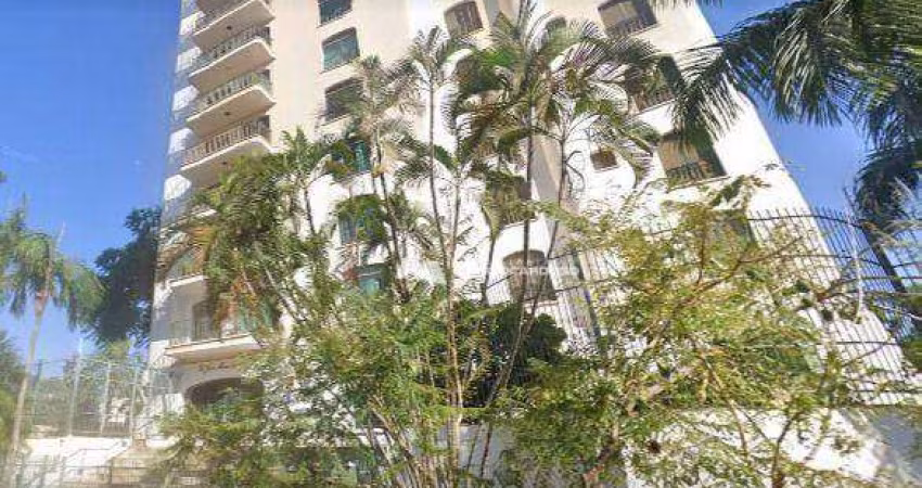 Apartamento com 4 dormitórios à venda, 450 m² por R$ 1.000.000,00 - Centro - São José do Rio Preto/SP