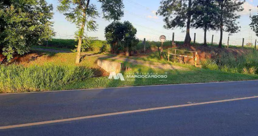 Sítio com 2 dormitórios à venda, 85114 m² por r$ 2.500.000,00 - rural - bady bassitt/sp
