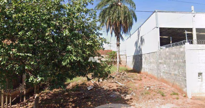 Terreno à venda, 275 m² por R$ 200.000,00 - Jardim Conceição - São José do Rio Preto/SP
