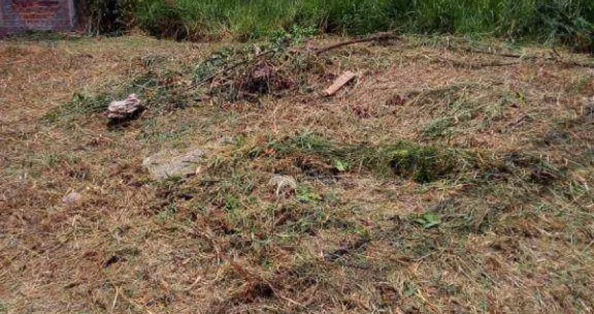Terreno à venda, 200 m² por R$ 95.000,00 - São Thomas - São José do Rio Preto/SP
