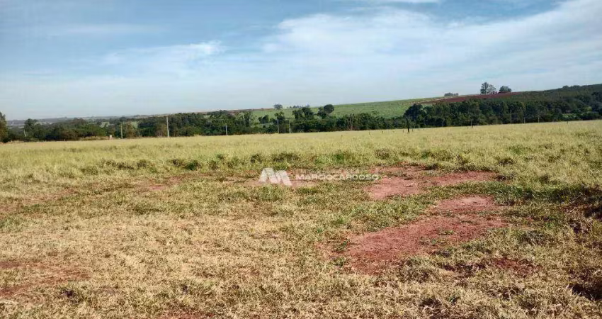 Sítio à venda, 121000 m² por r$ 2.000.000 - onda verde - onda verde/sp