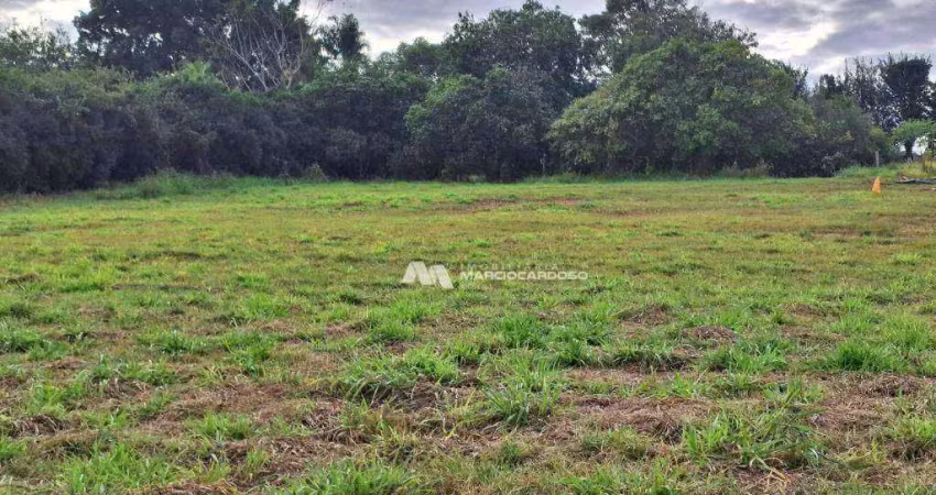 Terreno à venda, 2893 m² por r$ 300.000 - centro - potirendaba/sp