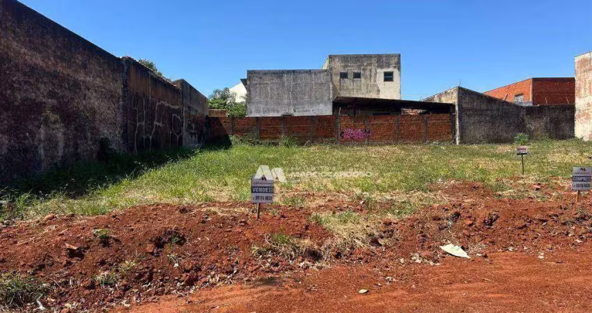 Terreno à venda, 396 m² por r$ 225.000,00 - vila angélica - são josé do rio preto/sp