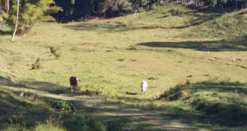 Chácara / sítio com 3 quartos à venda no Barrocão, Serra Negra 
