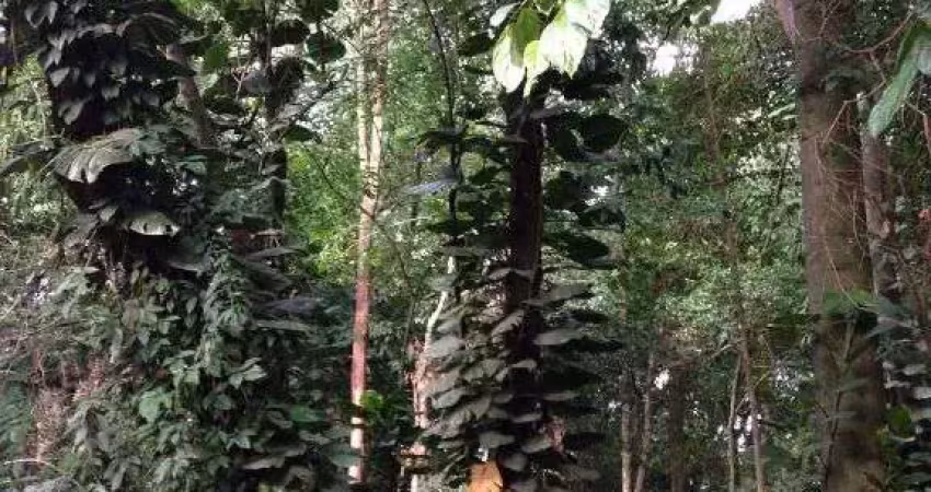 Terreno em condomínio fechado à venda no Jardim Santana, Campinas 