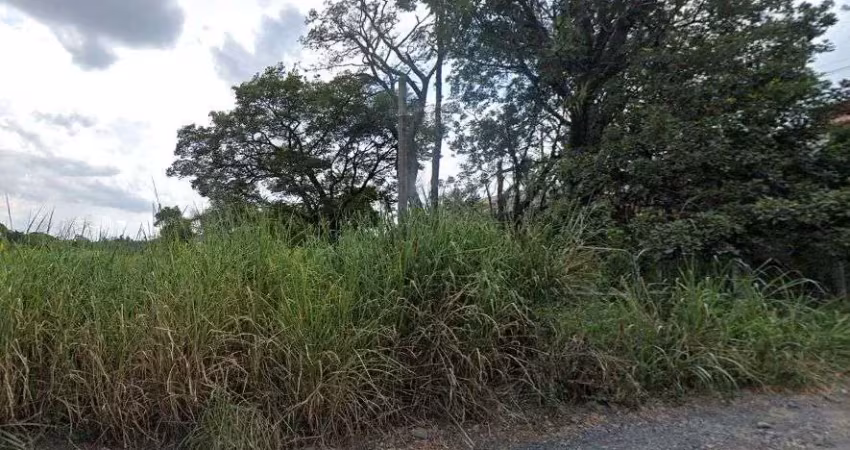 Terreno comercial para alugar no Parque Rural Fazenda Santa Cândida, Campinas 