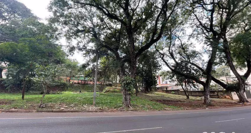 Terreno à venda, 1000 m² por R$ 1.100.000,00 - Centro - Foz do Iguaçu/PR