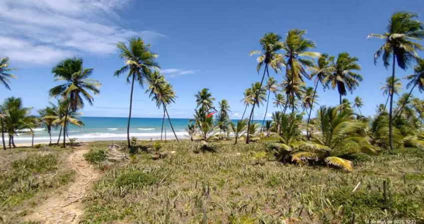 A sua vida nunca mais será a mesma ao adquirir um lote no riviera em praia do forte, mata de são joão - bahia