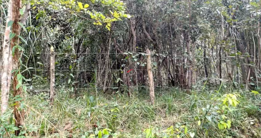 Terreno no loteamento quintas do castelo da torre com viabilidade para  empreendimento imobiliário