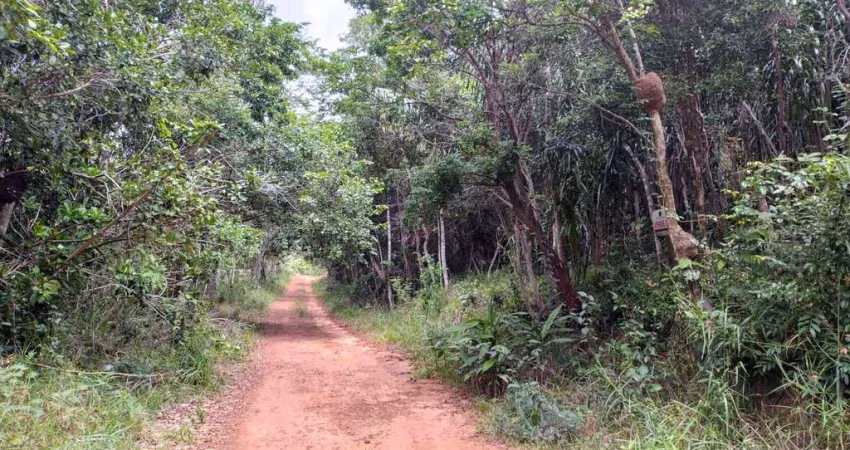 Terreno para Loteamento em lagoa Aruá com 5000 m²
