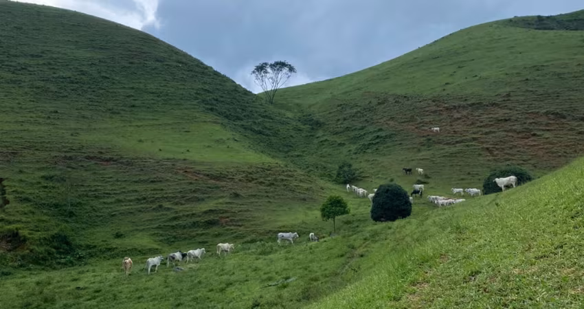 Fazenda à venda em Bocaina de Minas