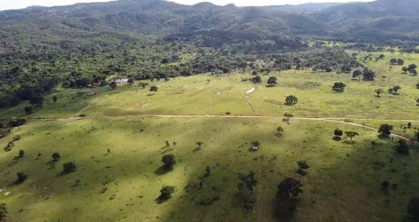 Fazenda com 1 sala à venda na Zona Rural, Ivolândia 