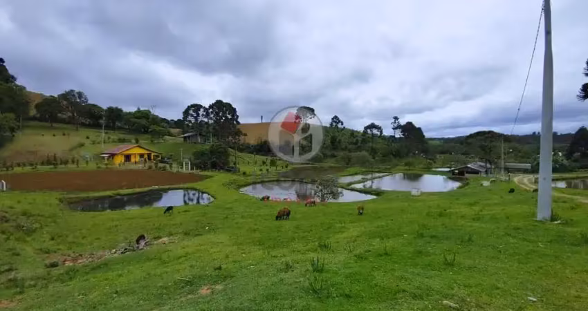 Chácara / sítio com 1 quarto à venda na Zona Rural, Tijucas do Sul 