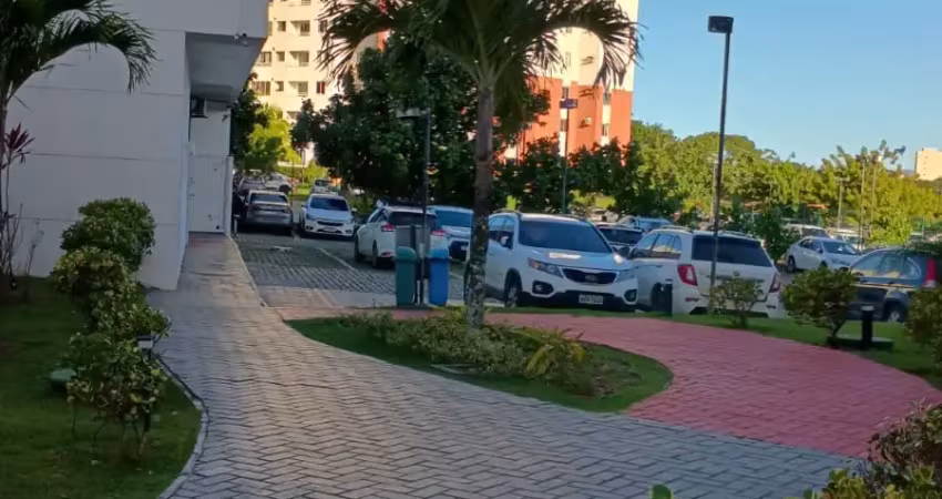 Oportunidade, aluguel, colina piatã, andar alto, vista livre