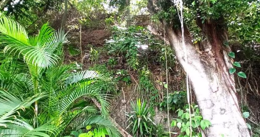 Lote/Terreno para venda tem 1500 metros quadrados em Taquara - Rio de Janeiro - RJ