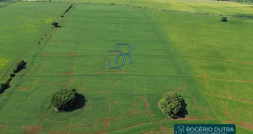 Terreno à venda na AV: Saul Elkind, Jardim Flores do Campo, Londrina