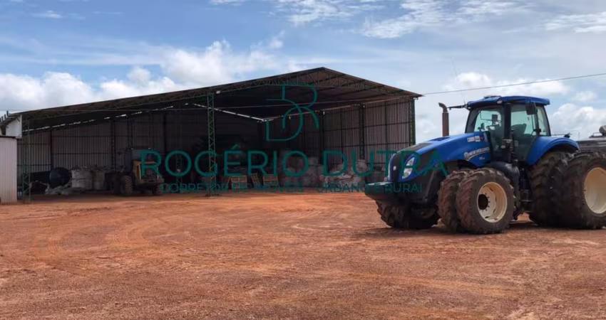 FAZENDA DE SOJA EM BALAS, MARANHÃO VENDA