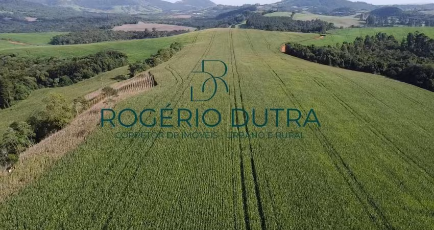 FAZENDA A VENDA EM TAMARA PR  - CAMPO DE SEMENTE