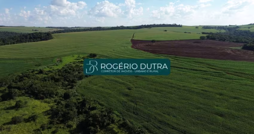 FAZENDA DE LAVOURA NO PARANÁ 85 KM DE LONDRINA