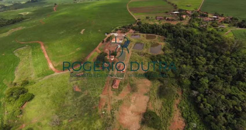 Fazenda de lavoura a venda em Bela Vista do Paraiso PR
