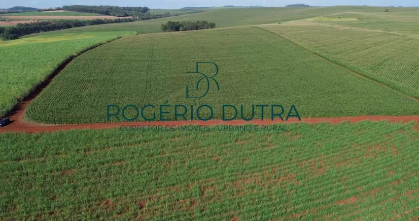 Sitio a venda em Bandeirantes  - PR