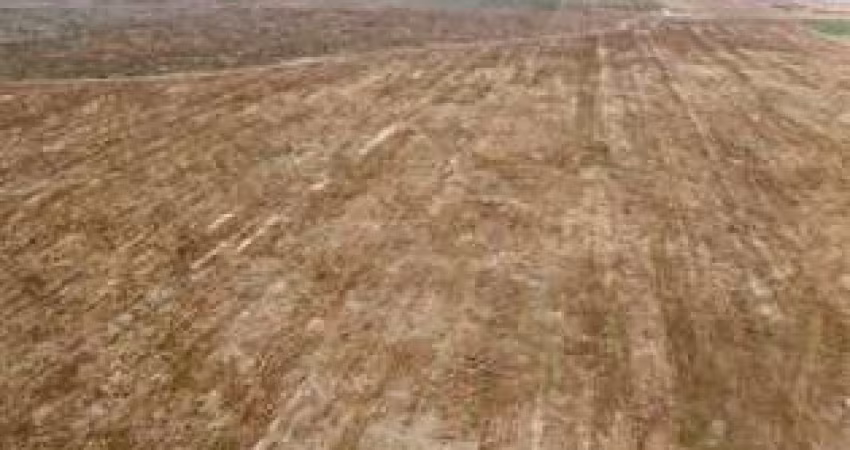 FAZEDA A VENDA NO MARANHÃO BALSAS - CHAPADA