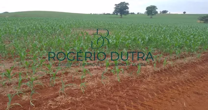 Fazenda à venda na ZONA RURAL, Zona Rural, Sertaneja