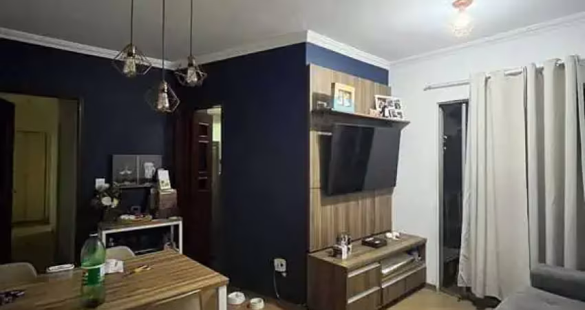 Apartamento - Jardim Humuarama