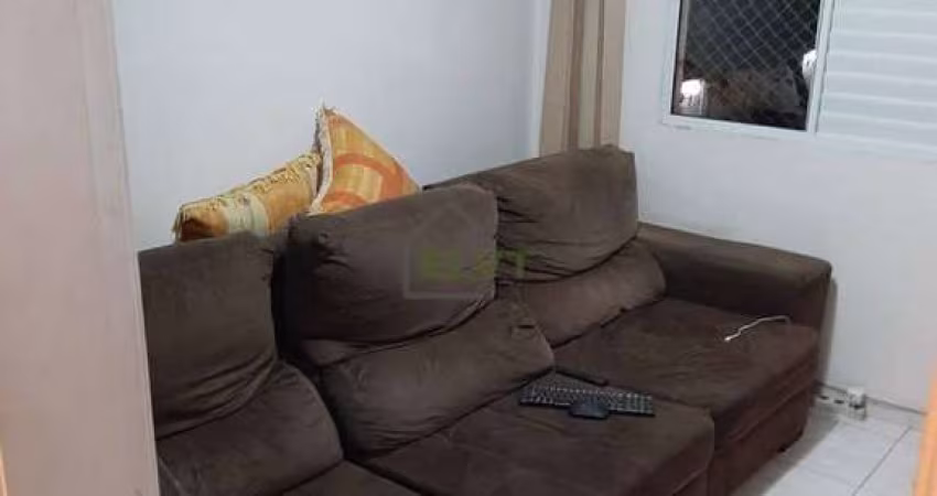 Safira - Apartamento à venda, 50 m² por R$ 270.000,00 - Vila Zulmira - São Paulo/SP