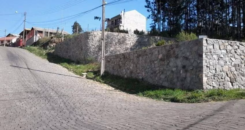 A vantagem de comprar um terreno é você  criar um projeto do jeito que quiser.