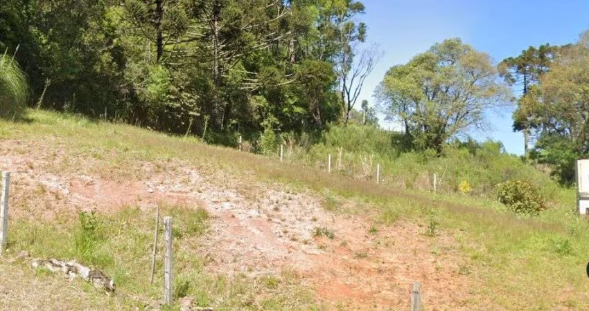 A vantagens de comprar um terreno é de criar o projeto que você quiser.