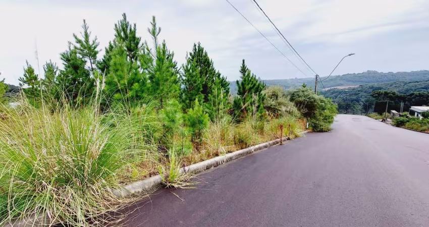 A vantagem de comprar um terreno é de criar o projeto que você quiser.