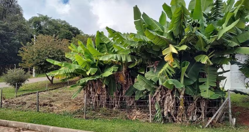 A vantagens de comprar um terreno é de criar o projeto que você quiser.