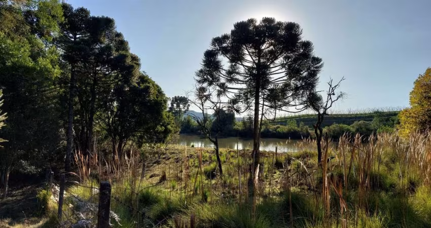 Chácara  à venda, 9 hectares - Carapiaí- Fazenda Souza Caxias do Sul/RS