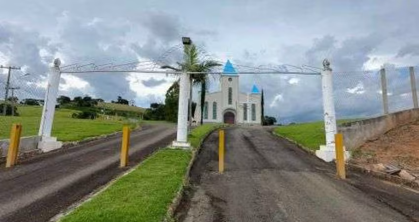 lote 250 centro da cidade bairro dos Pereiras