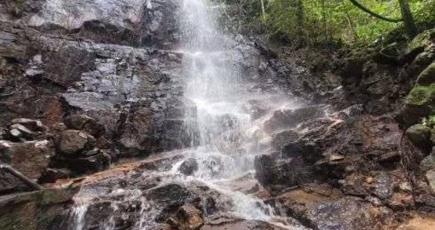 Terreno Rural com 1 alqueire e meio ( cerca de 36400 m2 ) com cachoeira e nascentes rico em água