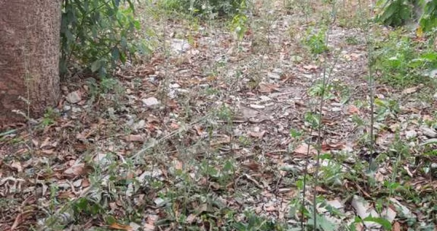 Terreno à venda no Jardim Adriane, Itaquaquecetuba 