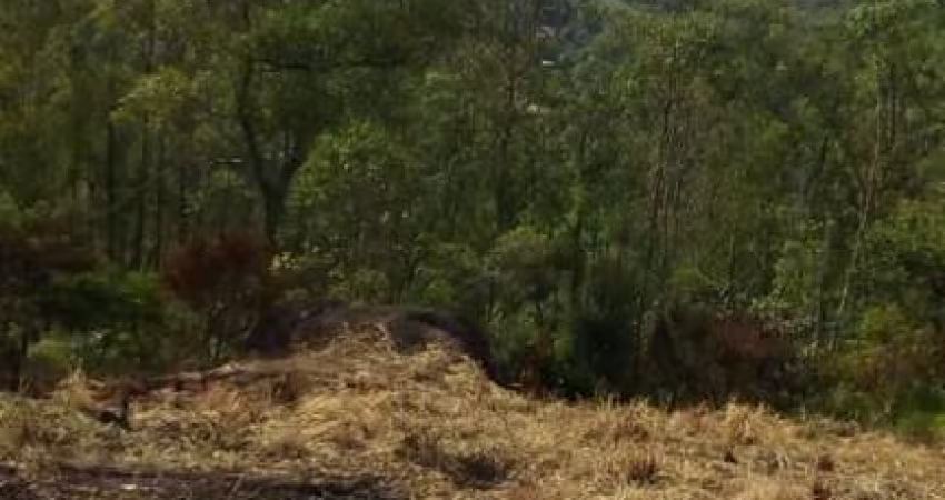 Terreno à venda no Parque Residencial Samambaia, Suzano 