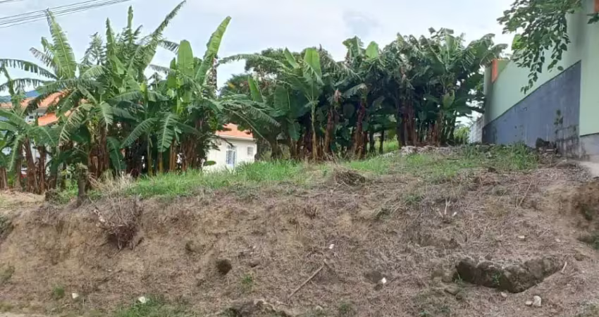 Terreno à venda na Rua Presidente Castelo Branco, 875, Calemba, Santo Amaro da Imperatriz