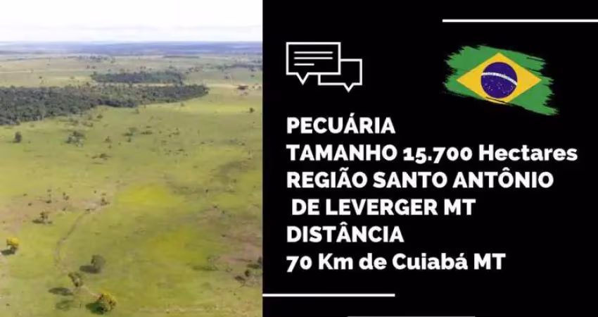 Fazenda para venda em santo antônio do leverger, rural
