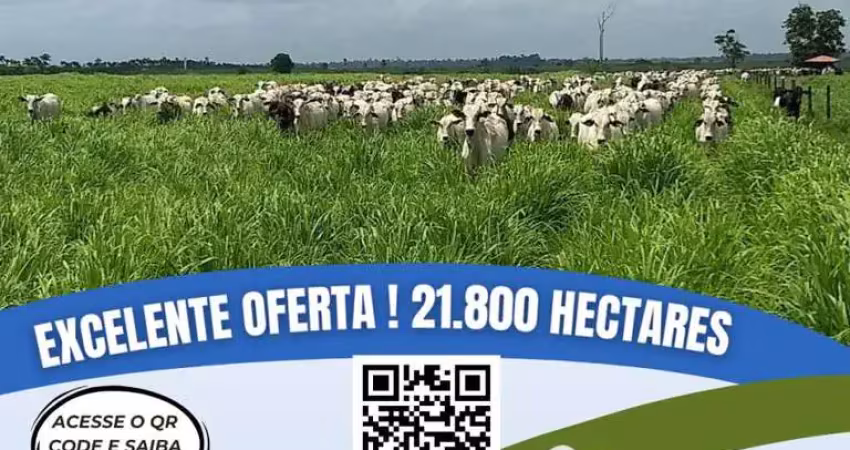 Fazenda para venda em itinga do maranhão, área rural