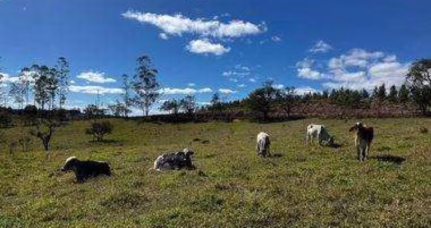 Fazenda à venda na Rural, 300, Campo Grande, Pilar do Sul