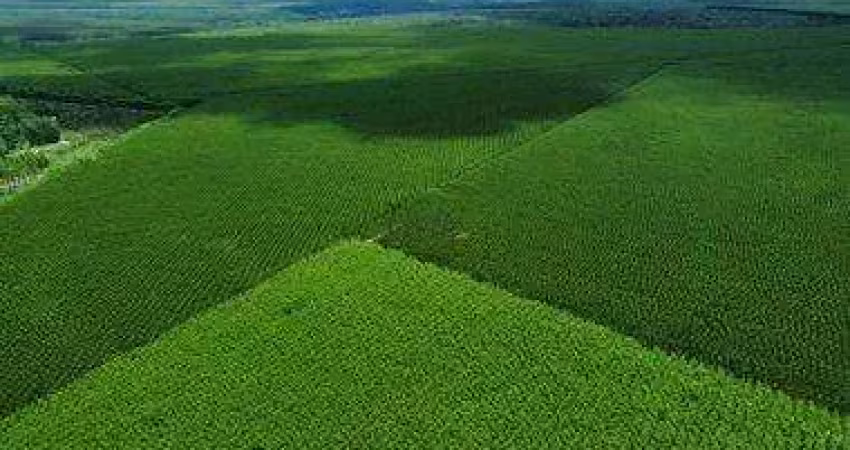 Fazenda à venda no Centro, São João do Paraíso 